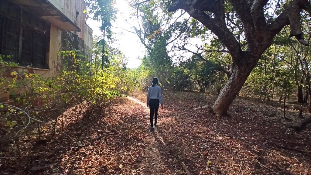 Dear Software Engineer – Do you care about your career?